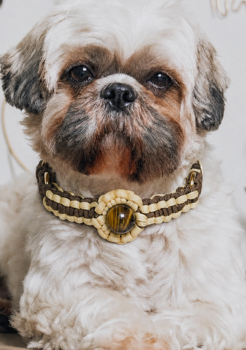 KANSHO Earth Element Handmade Tiger's Eye Collar